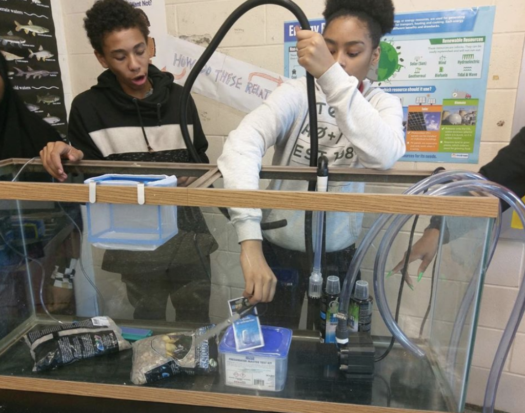 “School of fish” is taking on a whole new meaning for scholars in one Environmental Science class.