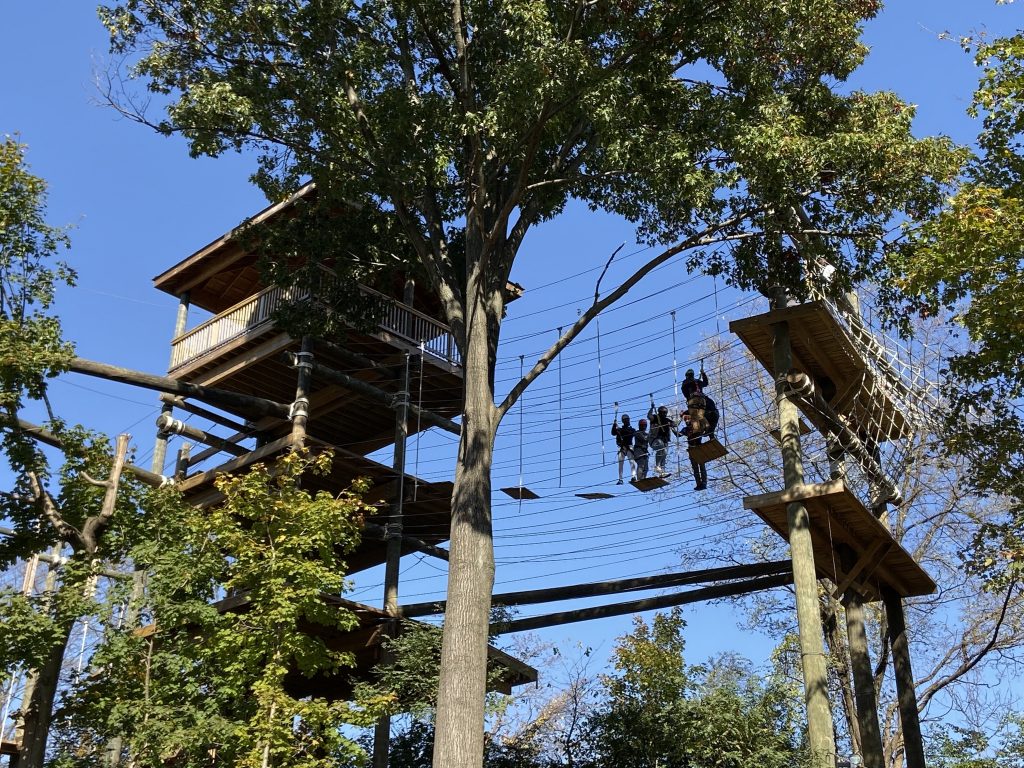 The 9th Grade Academy engaged in team building activities and got to tackle the high ropes course with Outward Bound.